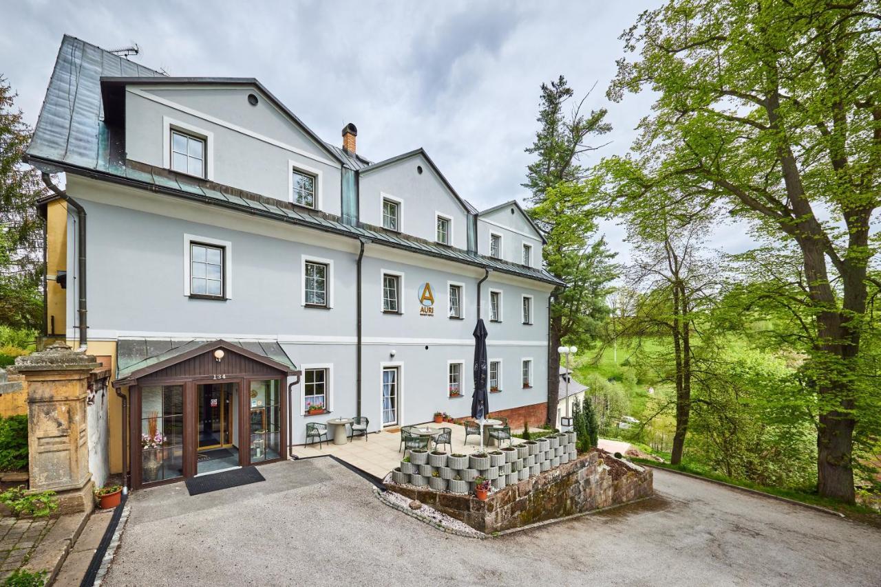 Hotel Auri Rudník Kültér fotó
