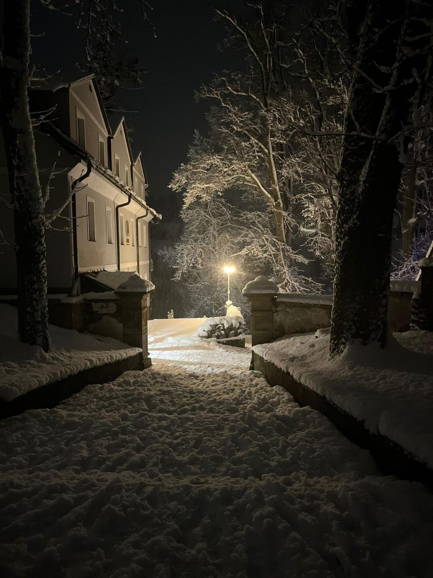 Hotel Auri Rudník Kültér fotó
